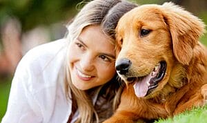 Common-Sense-Measures-To-Protect-Your-Dog-1