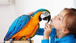 the-9-benefits-of-owning-pet-birds-what-science-says-6