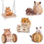 Top 9 Best Hamster Cages Of 2023 – Top Picks & Reviews