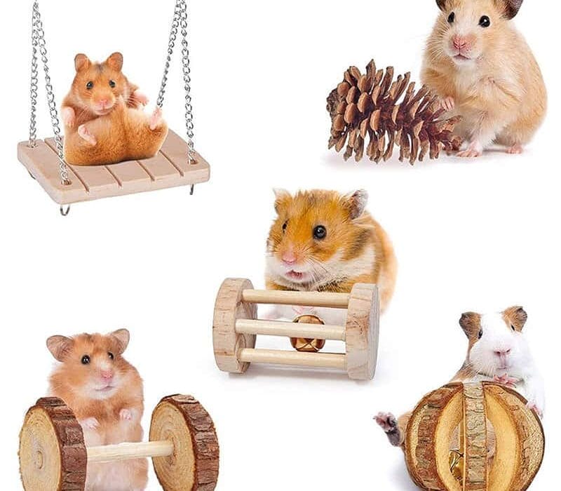 top-10-best-hamster-toys-in-2023-top-picks-reviews