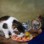 Can Cats Eat Grapes? Everything You Need To Know 2023