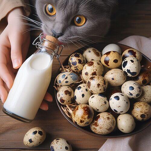 Can Kittens Eat Raw Quail Egg?