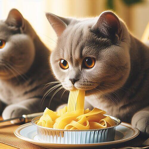 How to Safely Offer Pasta to Your Cat?