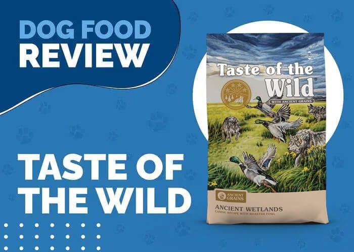 The Perfect Balance of Taste of the Wild Ancient Wetlands with Roasted Fowl and Ancient Grains Dry Dog Food