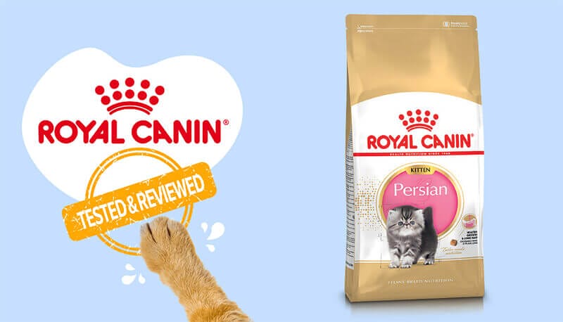 Royal Canin Persian Kitten Dry Cat Food - Tailored for Thriving Persian Kittens
