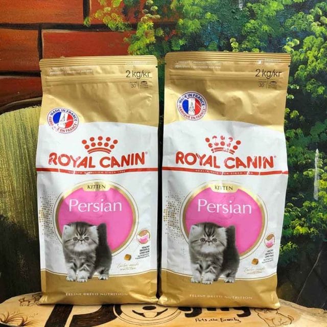 Where to Buy Royal Canin Persian Kitten Cat Food