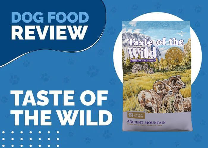 Taste of the Wild Ancient Mountain with Roasted Lamb and Ancient Grains Dry Dog Food
