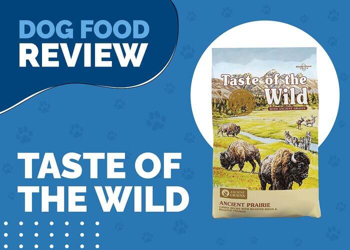 Taste of the Wild Ancient Prairie with Roasted Bison, Roasted Venison and Ancient Grains Dry Dog Food
