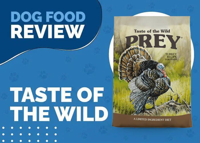 Nourish Your Pup with Taste of the Wild Prey Turkey Limited Ingredient Recipe