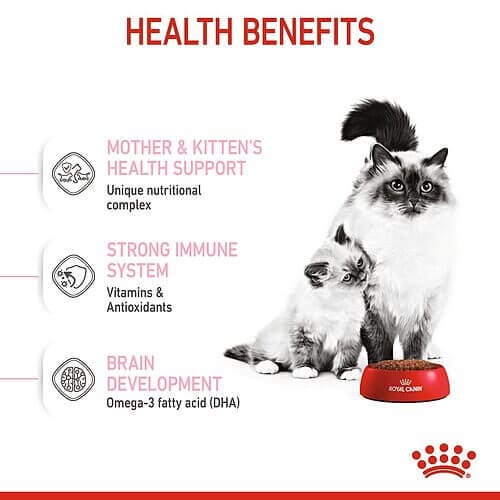 Benefits of Royal Canin Feline Health Nutrition Mother & Babycat Dry