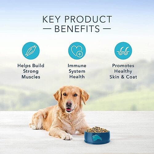 How to feed your dog with Blue Buffalo Life Protection Formula