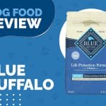 The Ultimate Guide to Blue Buffalo Life Protection Formula Adult Lamb and Brown Rice Dry Dog Food