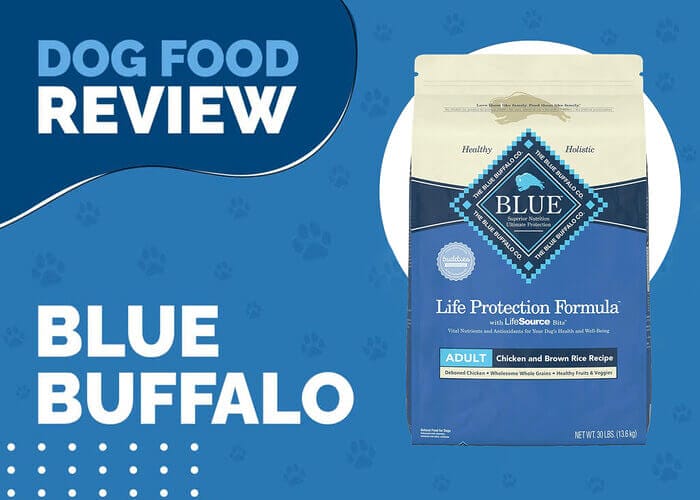 The Best Blue Buffalo Life Protection Formula Adult Chicken and Brown Rice for Adult Dogs
