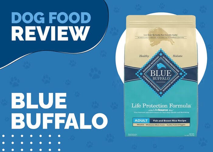 Give Your Dog the Blue Buffalo Life Protection Formula Adult Fish and Brown Rice Recipe They Deserve