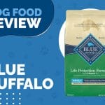 The Best Blue Buffalo Life Protection Formula Adult Chicken and Brown Rice for Adult Dogs