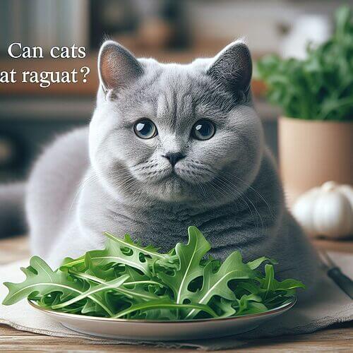 How Can I Safely Give Arugula To My Cat?