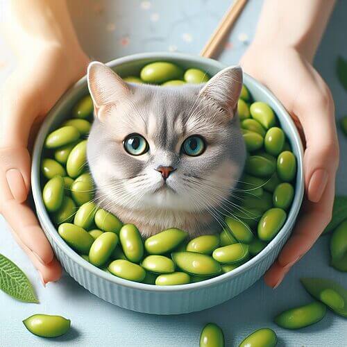 Are There Health Benefits For Cats Eating Edamame?