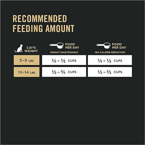 How to Feed Your Cat with Purina Pro Plan Focus Weight Management Cat Food