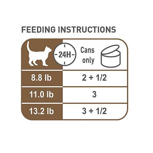 How to Feed Your Cat Royal Canin Feline Aging 12+ Dry