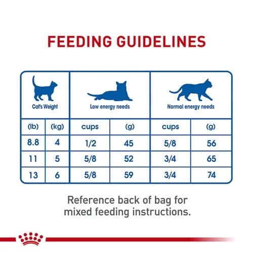 How to Feed Your Cat Royal Canin Feline Breed Nutrition Indoor Adult