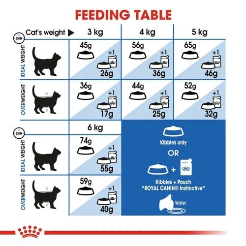 How to Feed Your Cat Royal Canin Feline Care Nutrition Indoor Adult Dry
