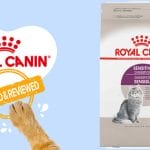 Nourish Dogs’ Instincts with Taste of the Wild Pine Forest Grain Free Wet Dog Food