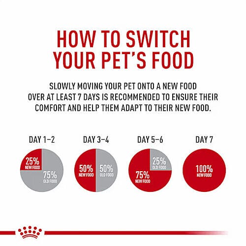 How to Feed Your Cat Royal Canin Feline Care Sensitive Digestion