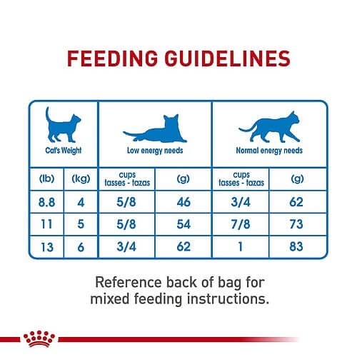 How to Feed Royal Canin Feline Weight Control