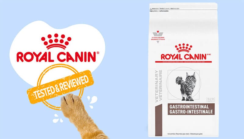 Give Your Cat the Nutrition They Need with Royal Canin Feline Gastrointestinal Formula