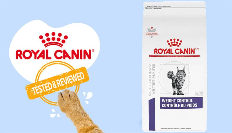 Keeping Cats Healthy and Fit with Royal Canin Feline Health Weight Control Dry Cat Food