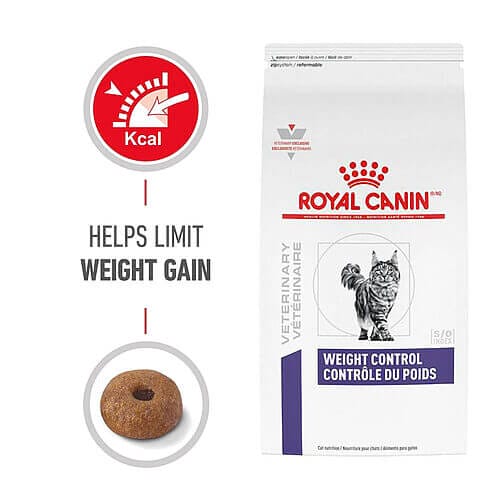 Where to Buy Royal Canin Feline Health Weight Control Dry Cat Food