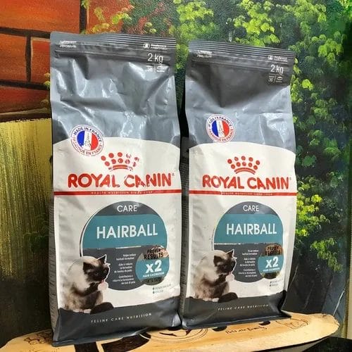 Where to Buy Royal Canin Hairball Care Cat Food