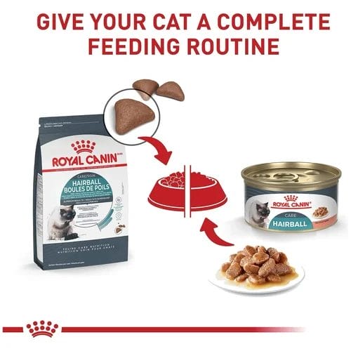 How to Feed Your Cat Royal Canin Hairball Care Cat Food