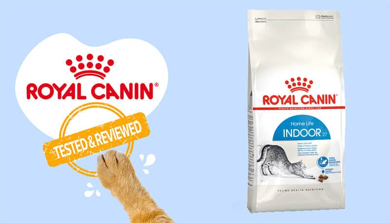 Indoor Living Made Easy with Royal Canin Indoor Adult Cat Food