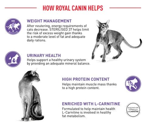 Benefits of Royal Canin Sterilized Cat Food