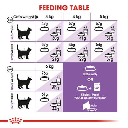 How to Feed Your Cat Royal Canin Sterilized Adult Cat Food