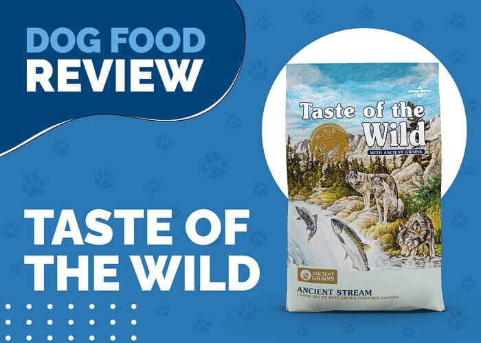 Puppy Perfection: Taste of the Wild Ancient Stream Puppy Food