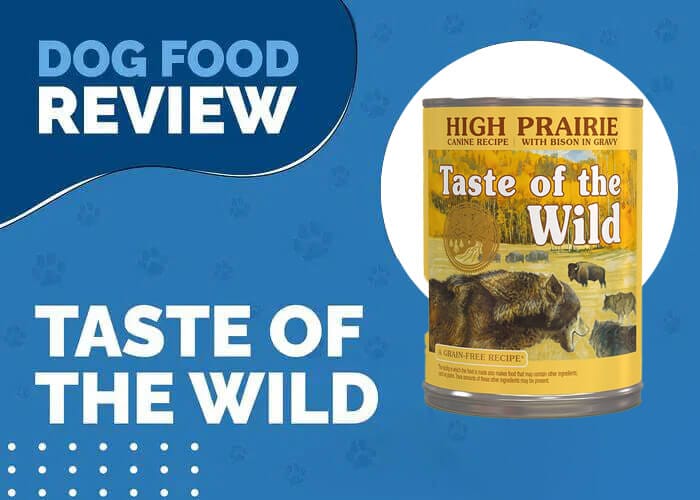 Taste of the Wild High Prairie Grain-Free Canned Dog Food with Bison in Gravy