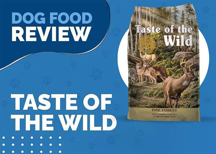 Nourish Dogs' Instincts with Taste of the Wild Pine Forest Grain Free Wet Dog Food