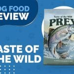 The Purrfect Diet for Royal Canin Feline Breed Nutrition Indoor Adult Dry Cat Food