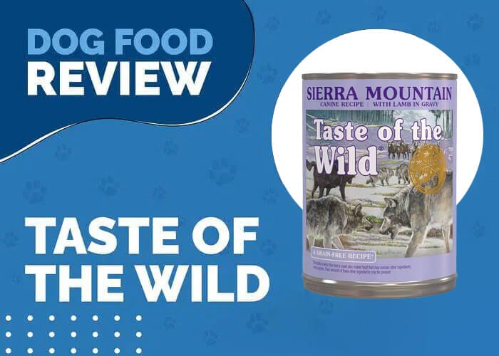 Taste of the Wild Sierra Mountain Grain Free Wet Canned Dog Food: A Wholesome Meal for Your Canine Companion