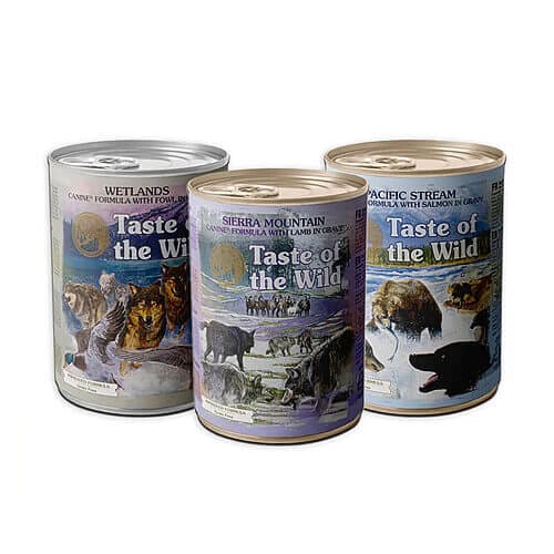 Where to Buy Taste of the Wild Sierra Mountain Grain Free Wet Canned Dog Food with Roasted Lamb