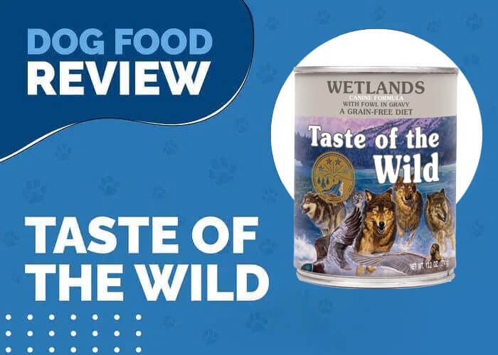 Give Your Dog a Taste of the Wild Wetlands Grain Free Wet Canned Dog Food with Roasted Duck