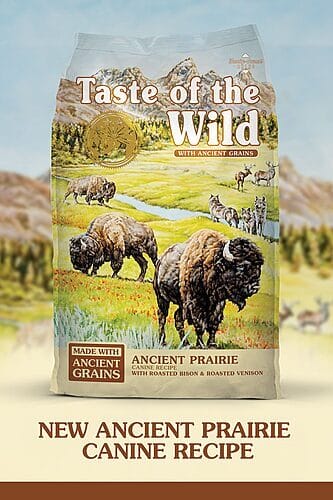 Where to Buy Taste of the Wild Ancient Prairie Puppy Food