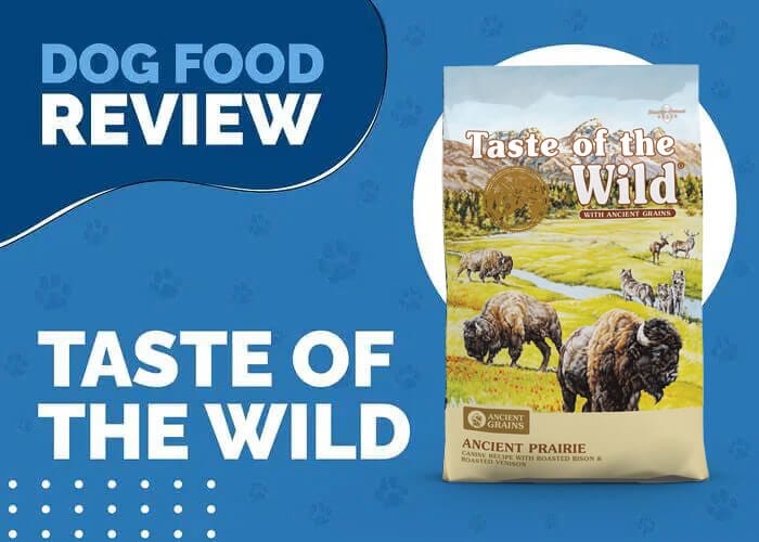 Feed Your Puppy The Ancient Diet With Taste of the Wild Ancient Prairie Dry Puppy Food