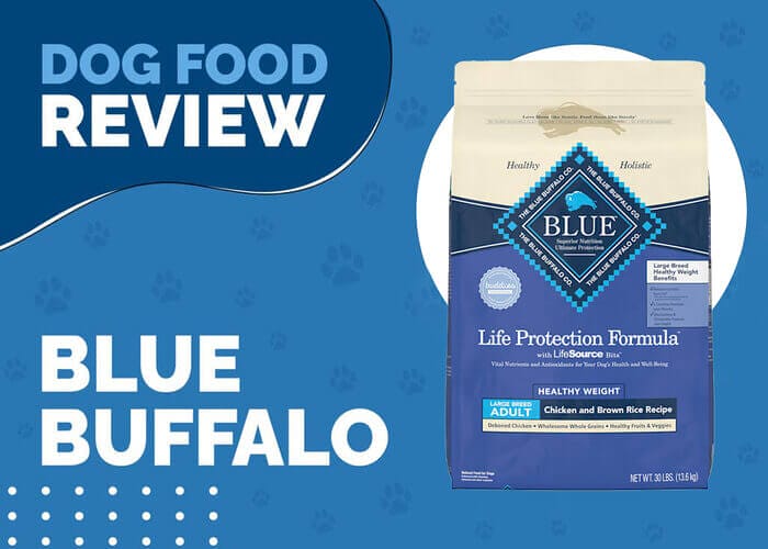 Blue Buffalo Life Protection Formula Adult Large Breed Healthy Weight Chicken and Brown Rice Recipe Dry Dog Food - Balanced Nutrition for Overweight Large Dogs