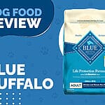 Blue Buffalo Life Protection Formula Adult Large Breed Lamb and Brown Rice Recipe Dry Dog Food – Nourishing Large Dogs with Sensitive Stomachs