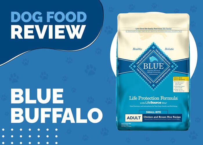 Go Natural with Blue Buffalo Life Protection Formula Adult Small Bite Chicken and Brown Rice Recipe