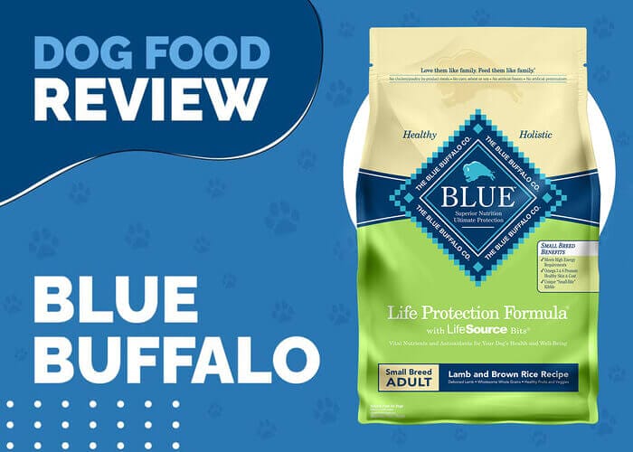 The Optimal Diet for Your Small Breed Dog's Health & Happiness with Blue Buffalo Life Protection Formula Adult Small Breed Lamb and Brown Rice Recipe