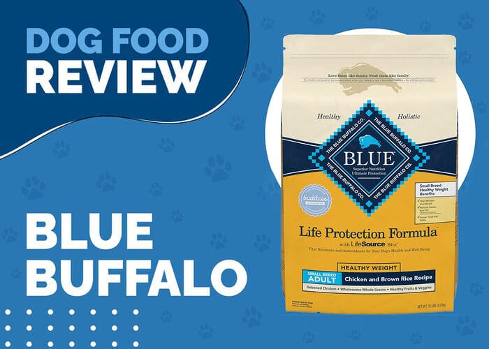 Support Healthy Weight for Small Breed Dogs with Blue Buffalo Life Protection Formula Healthy Weight Chicken and Brown Rice Recipe